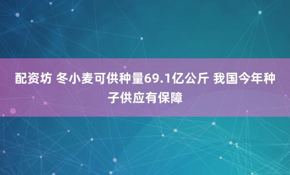 配资坊 冬小麦可供种量69.1亿公斤 我国今年种子供应有保障